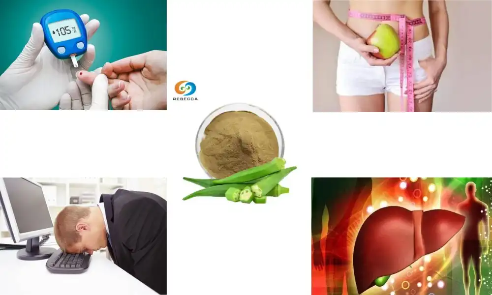 What is Okra Seed Powder Mainly Used For?